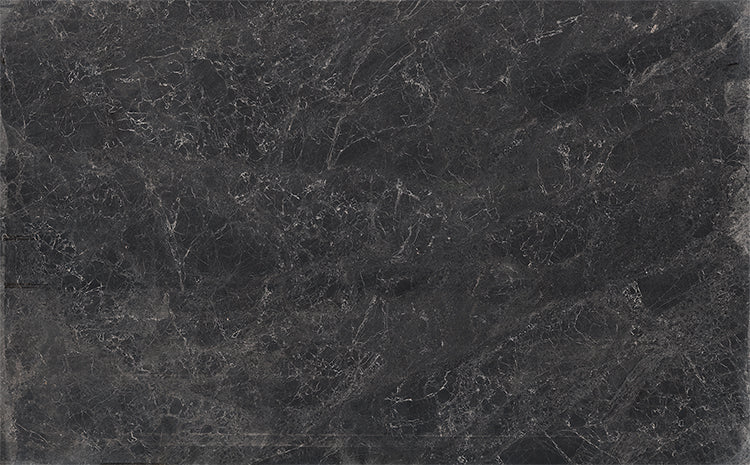 New Elegant Grey