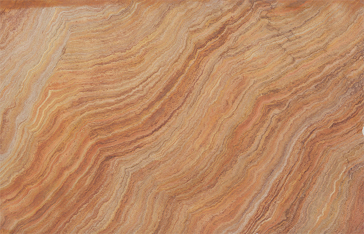 Vinicuna